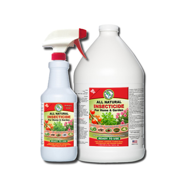 màquina d'omplir insecticides (6)